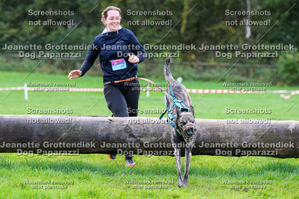 Dog Paparazzi -  SD1026-991 | Dog Paparazzi Jeanette Grottendiek Fotografie & Videografie - Realisiert mit Pictrs.com