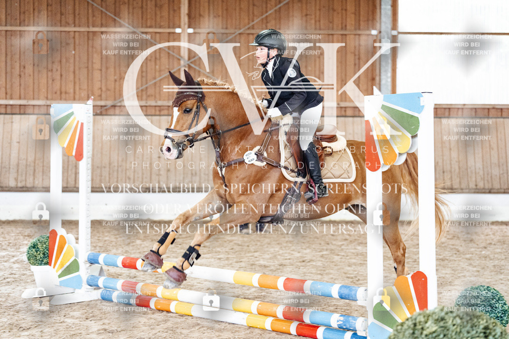 CK902773 | Turnierfotografie Pferdefotografie Trier Rheinland-Pfalz Pferdesport Reitsport Tierfotografie Sportfotografie Pferdevideo Pferdevideografie Equestrianvideography equestrianphotography  - Realisiert mit Pictrs.com