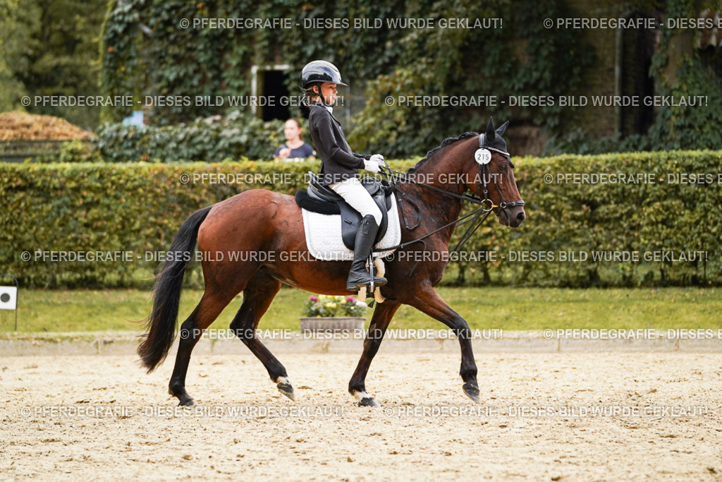 DSC00650 | Pferdegrafie