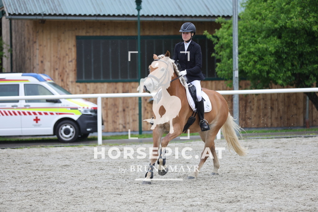 0P6A7960 | Willkommen bei Brunnmayr - Design & Fotografie – Ihrem Spezialisten für Reitturniere und Pferdeveranstaltungen in Oberösterreich, Salzburg und Bayern! Seit über 17 Jahren sind wir leidenschaftlich dabei.