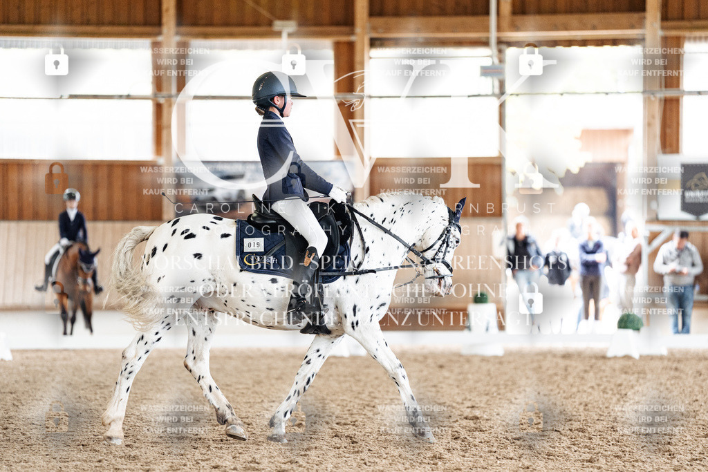 CK901444 | Turnierfotografie Pferdefotografie Trier Rheinland-Pfalz Pferdesport Reitsport Tierfotografie Sportfotografie Pferdevideo Pferdevideografie Equestrianvideography equestrianphotography  - Realisiert mit Pictrs.com