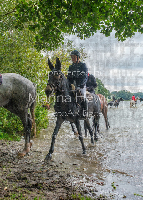 Jagd Perdoel_MarinaHewigDSCF3640 | Fotografie, FotoArt, PferdesportArt, Pferdesportfotografie, Landschaftsfotografie, Reisefotografie, Reise, Pferde - Realisiert mit Pictrs.com