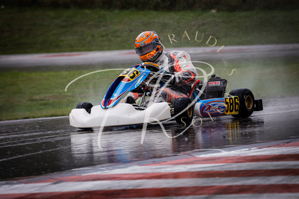 4FE2D0C1-34EB-419D-BB79-83C2F98BEE5E | traudl_s_fotos