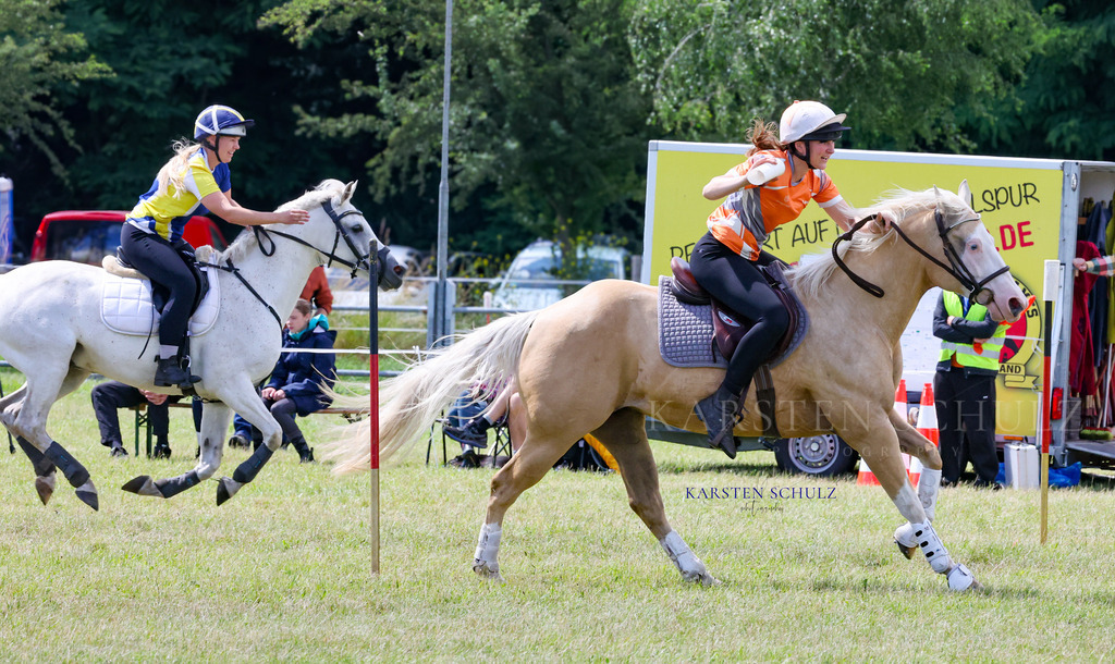 1B3A4316 | Reitsport Reiten