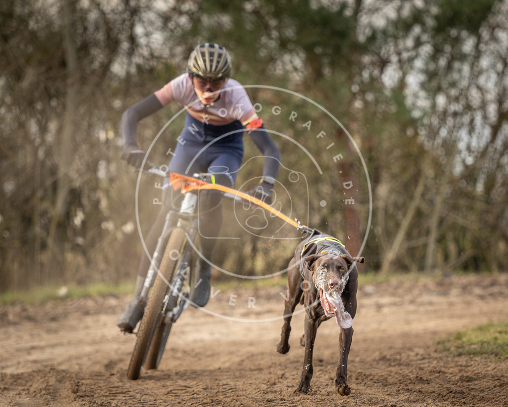 Pfotenfotografie_DV3A7219 | Hundefotografie, Tierfotograf, Pfotenfotografie, Fotoshooting Hund, Hunde Portrait, Hundesport, Hundeportraits, Heideshooting, Hunde, Sportfotograf, Hundefotograf, Turnierhundsport, THS,  - Realisiert mit Pictrs.com