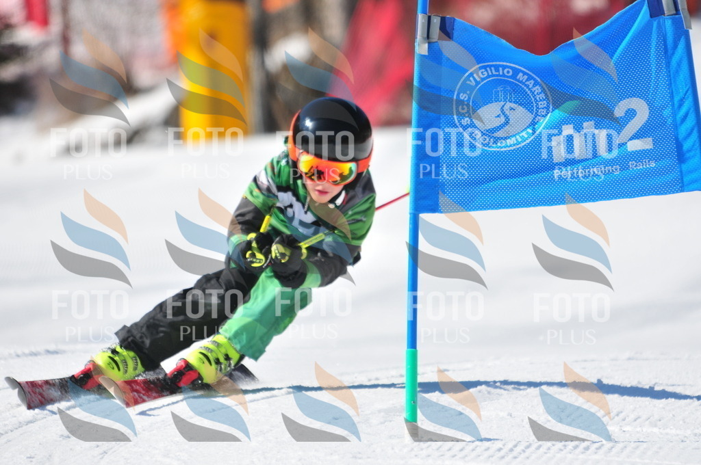 C3155 | holidayphoto