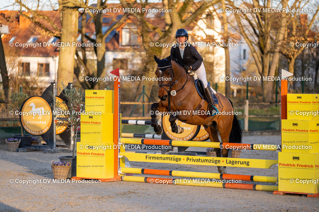 DSC-261 | dv-media-shop - Realisiert mit Pictrs.com