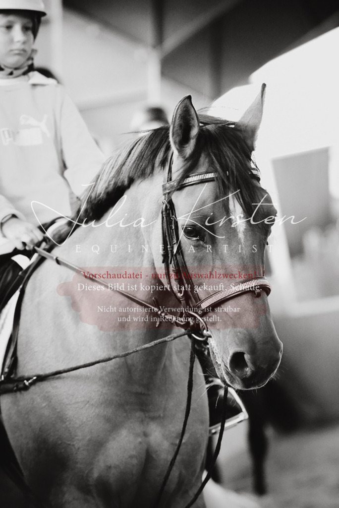 DSC_7522 | Pferde- und Turnierfotografie in Westsachsen. Pferdeportraits, Auftragszeichnungen und intuitive Kunst.