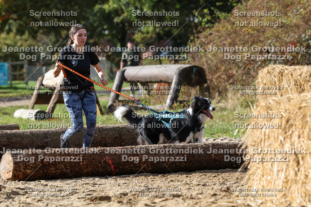 Dog Paparazzi - Strongdog 10-25-4961 | Dog Paparazzi Jeanette Grottendiek Fotografie & Videografie - Realisiert mit Pictrs.com