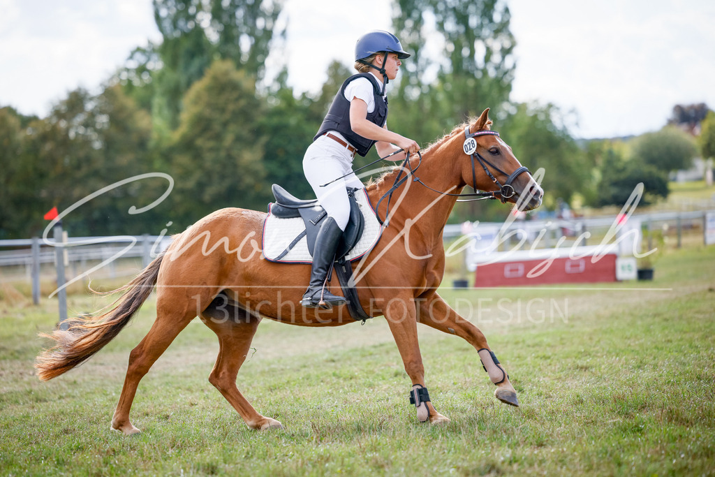 20250905-_3LI0952 | Tierfotografie Pferde, Hunde, Katzen, Haustiere.
Turnierfotografie Reitturniere, Reiten, Springreiten, Dressur in Hanau, dem Main-Kinzig-Kreis und dem Rhein-Main- Gebiet um Frankfurt