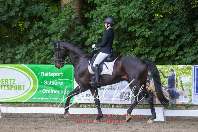 DKP42989 | Turniersportfotografie; Pferdefotografie; Dressurfotografie