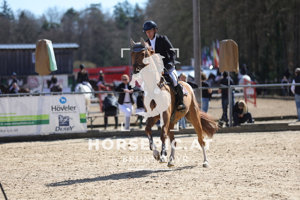 0P6A7609 | Willkommen bei Brunnmayr - Design & Fotografie – Ihrem Spezialisten für Reitturniere und Pferdeveranstaltungen in Oberösterreich, Salzburg und Bayern! Seit über 17 Jahren sind wir leidenschaftlich dabei.