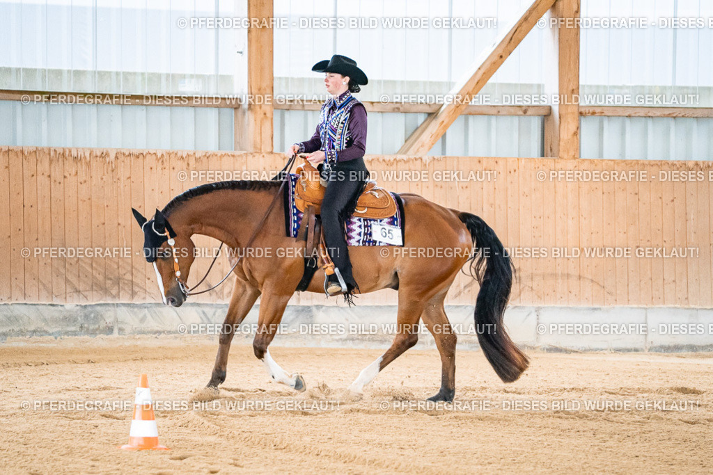 DSC01520 | Pferdegrafie