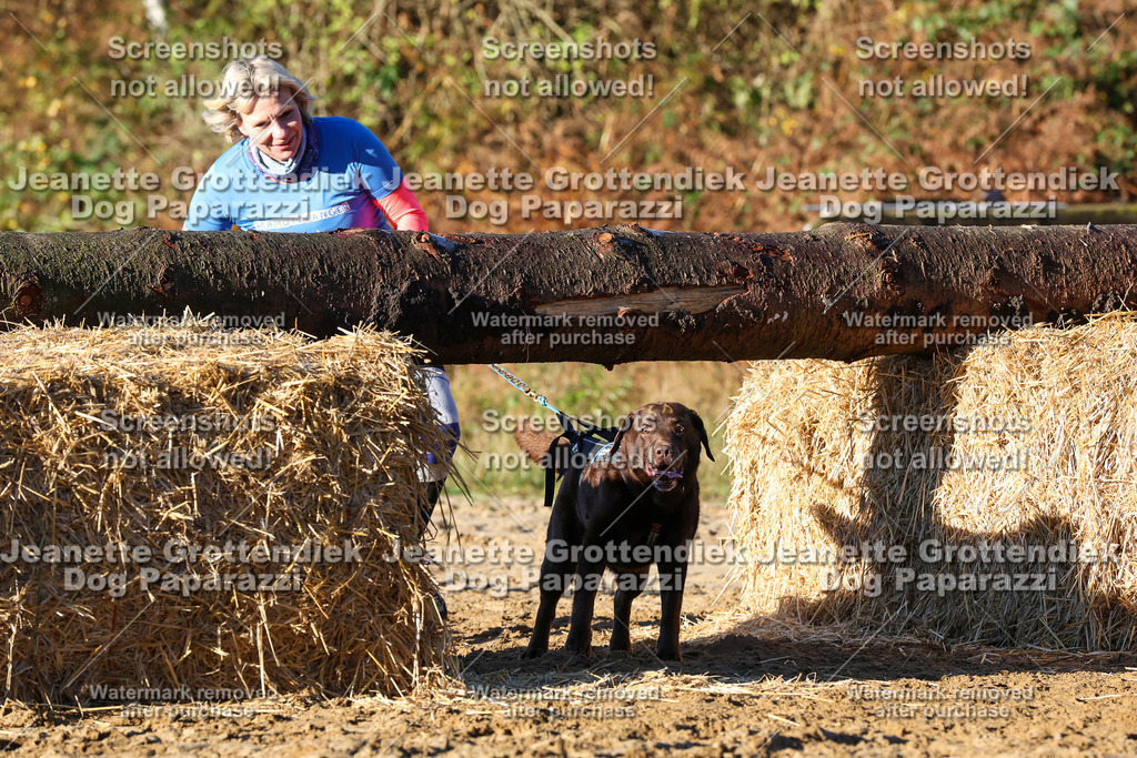 Dog Paparazzi - Strongdog 10-25-1113 | Dog Paparazzi Jeanette Grottendiek Fotografie & Videografie - Realisiert mit Pictrs.com