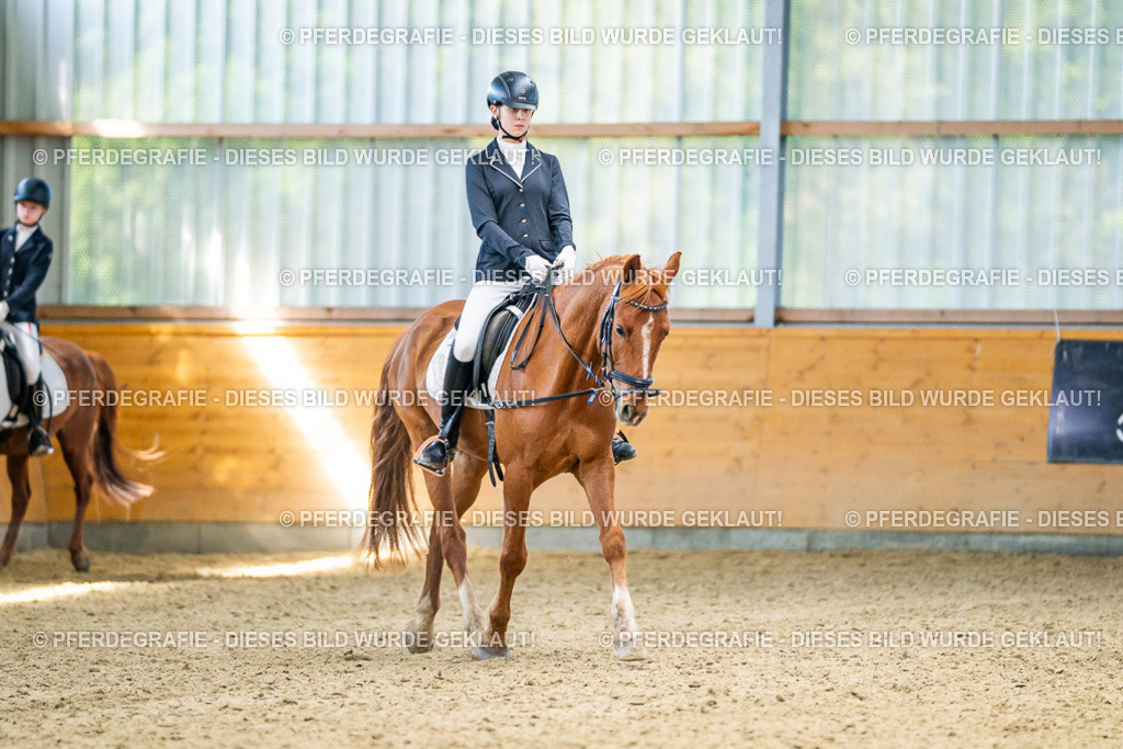 DSC03418 | Pferdegrafie