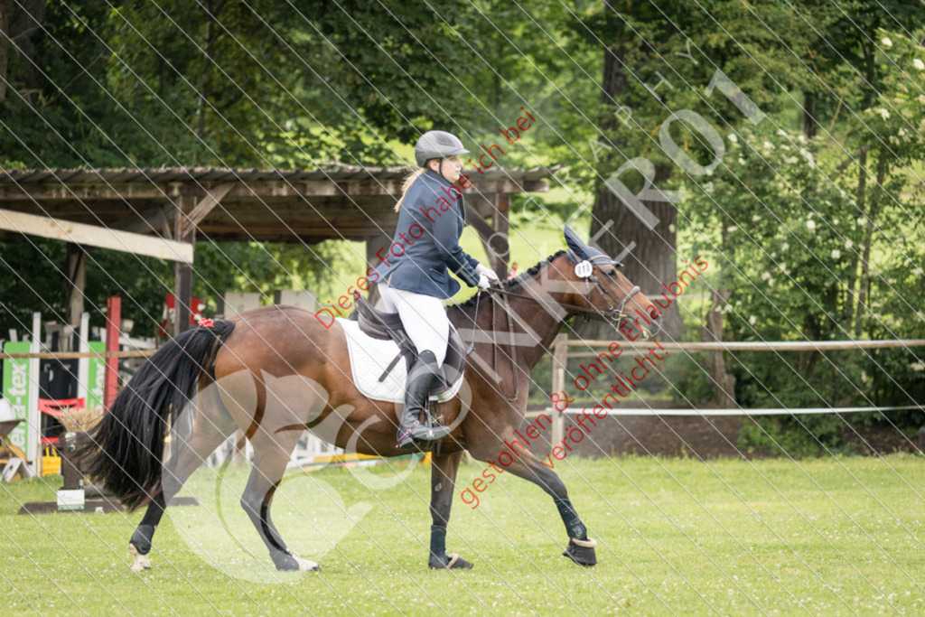 IMG_2517 | Sport-, Event- und Tierfotos in Profiqualität. Einfach auswählen, bestellen und herunterladen. Dein Moment – perfekt festgehalten.