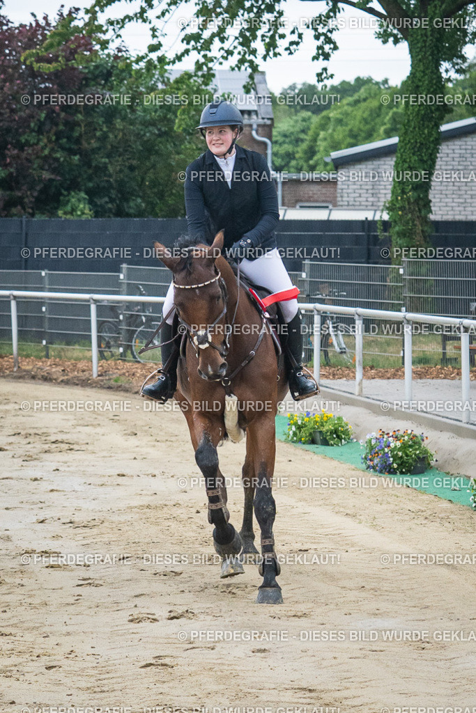 DSC04337 | Pferdegrafie