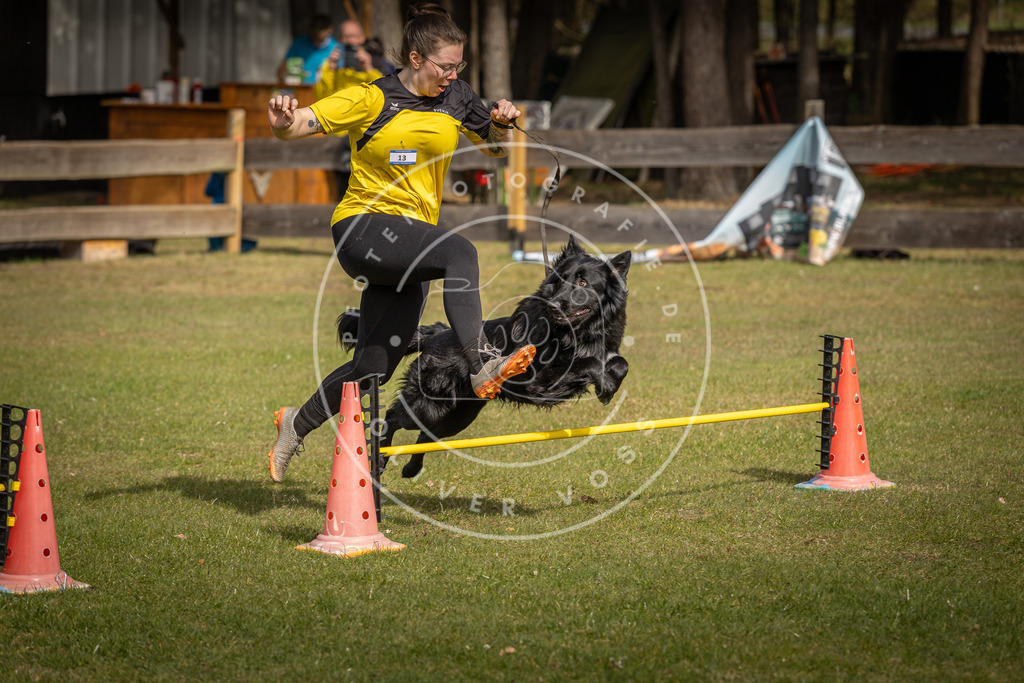 Pfotenfotografie_DV3A9548 | Hundefotografie, Tierfotograf, Pfotenfotografie, Fotoshooting Hund, Hunde Portrait, Hundesport, Hundeportraits, Heideshooting, Hunde, Sportfotograf, Hundefotograf, Turnierhundsport, THS,  - Realisiert mit Pictrs.com