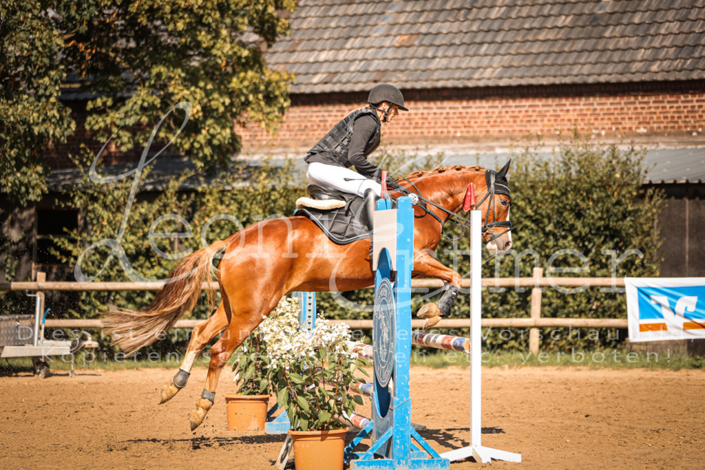 05.SaSpE00328 | Leoni Ertmer Photography - Realisiert mit Pictrs.com