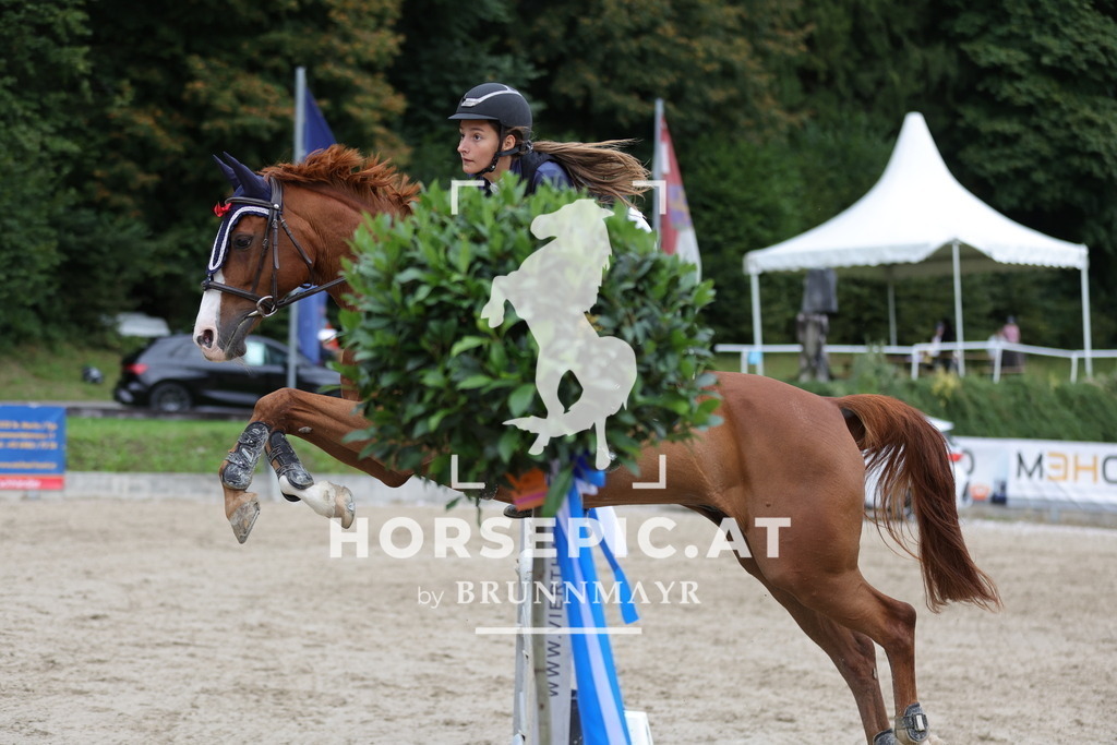 0P6A2302 | Willkommen bei Brunnmayr - Design & Fotografie – Ihrem Spezialisten für Reitturniere und Pferdeveranstaltungen in Oberösterreich, Salzburg und Bayern! Seit über 17 Jahren sind wir leidenschaftlich dabei.