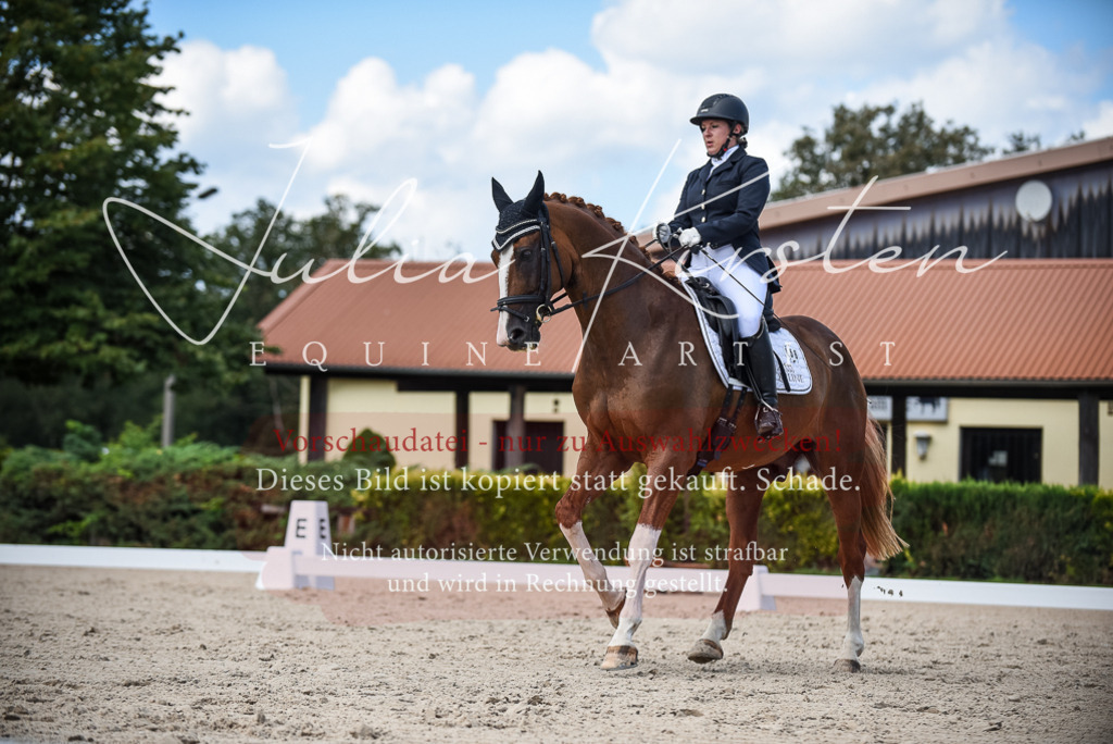 DSC_9335 | Pferde- und Turnierfotografie in Westsachsen. Pferdeportraits, Auftragszeichnungen und intuitive Kunst.