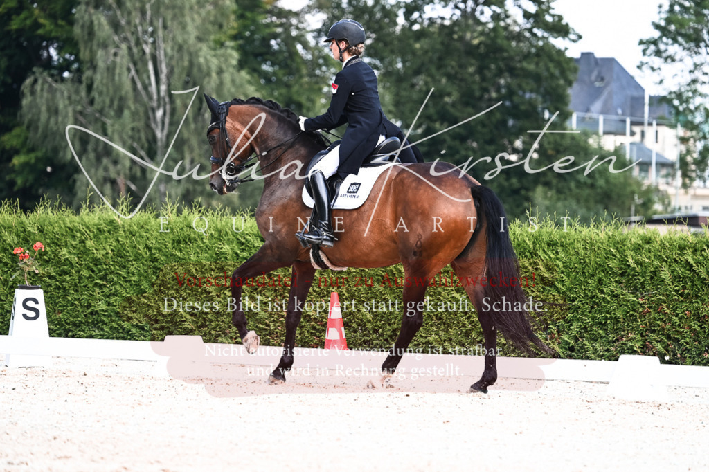 DSC_3095 | Pferde- und Turnierfotografie in Westsachsen. Pferdeportraits, Auftragszeichnungen und intuitive Kunst.