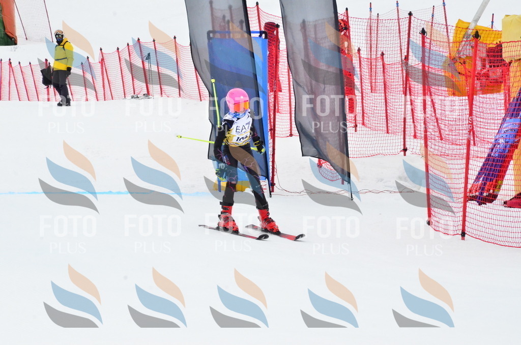 _ELE3552 | holidayphoto