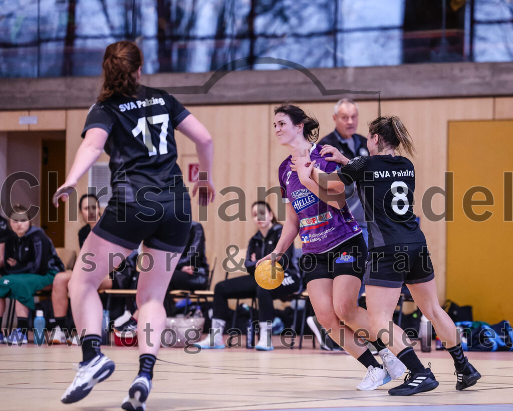 2024-12-14_035_SpVgg_Altenerding_gegen_SVA_Palzing | Erding, Deutschland, 14.12.2024:Handball, Bezirksoberliga Frauen Altbayern 2024 / 2024, 9. Spieltag, SpVgg Altenerding gegen SVA Palzing, Endergebnis: 20:30Christina Schredl (SVA Palzing, #17), Janina Konrad (SpVgg Altenerding, #2), Franziska Rommel (SVA Palzing, #8)Foto: Christian Riedel / fotografie-riedel.net