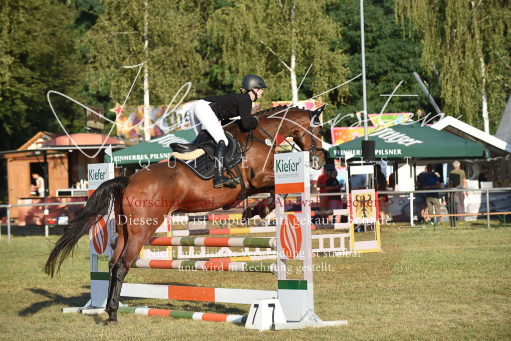 DSC_4842 | Pferde- und Turnierfotografie in Westsachsen. Pferdeportraits, Auftragszeichnungen und intuitive Kunst.