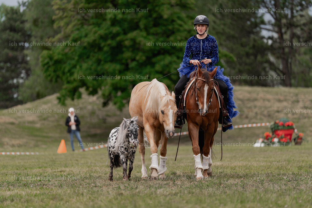 Showprogramm-455 | working equitationturnier fotograf videograf stoibphotography marixx film working equitation deutschland reitsport turnierfotografie eventfotografie equestrian events