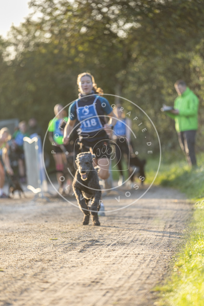 Pfotenfotografie.de_DV3A2430 | Hundefotografie, Tierfotograf, Pfotenfotografie, Fotoshooting Hund, Hunde Portrait, Hundesport, Hundeportraits, Heideshooting, Hunde, Sportfotograf, Hundefotograf, Turnierhundsport, THS, canicross - Realisiert mit Pictrs.com