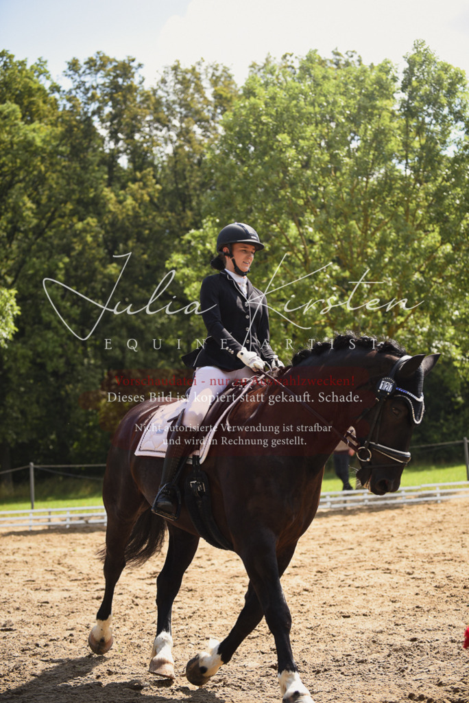 DSC_0678 | Pferde- und Turnierfotografie in Westsachsen. Pferdeportraits, Auftragszeichnungen und intuitive Kunst.