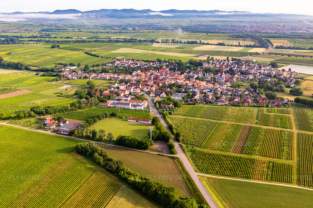 Luftbild: Ortsansicht von Südosten in Impflingen im Bundesland Rheinland-Pfalz in Deutschland. Foto: IMG_141754.jpg vom 18.06.2024 durch Werner Riehm/FLY-FOTO.de