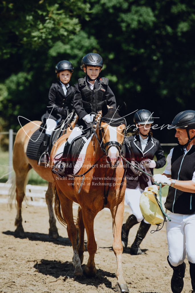 DSC_2701 | Pferde- und Turnierfotografie in Westsachsen. Pferdeportraits, Auftragszeichnungen und intuitive Kunst.