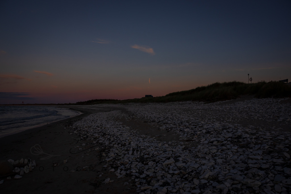 _Sommer2022-0955 | Photographies and more - Realisiert mit Pictrs.com