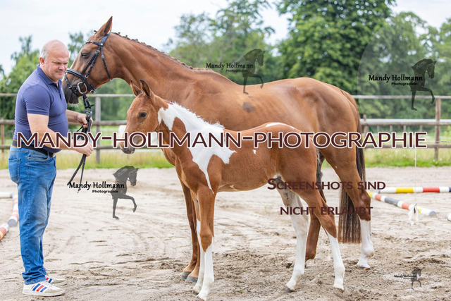 Hexenberg-5 | mandyhollmannphotographie