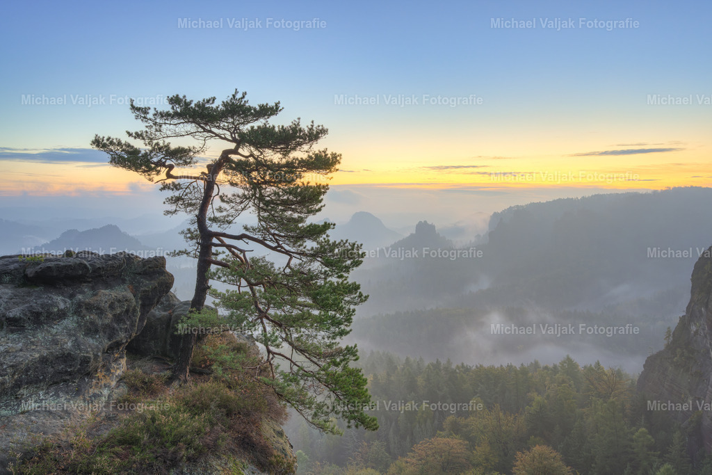 Morgendämmerung in der Sächsischen Schweiz | Blick von den Gleitmannshörnern unterhalb des Kleinen Winterbergs in Richtung Winterstein (Hinteres Raubschloss). Am Tag zuvor hat es viel geregnet, pünktlich zum Sonnenaufgang klart es auf, Nebelschwaden ziehen über den Wald und der Dunst sorgt für eine schöne Morgenstimmung. - Realisiert mit Pictrs.com