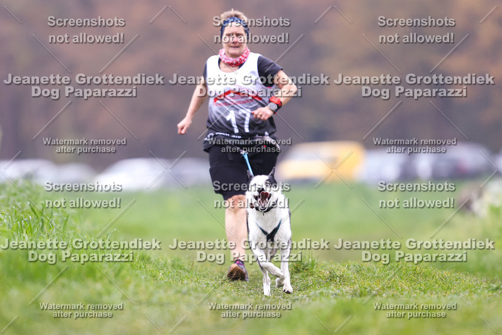 Dog Paparazzi - Visbeck 25 -821 | Dog Paparazzi Jeanette Grottendiek Fotografie & Videografie - Realisiert mit Pictrs.com