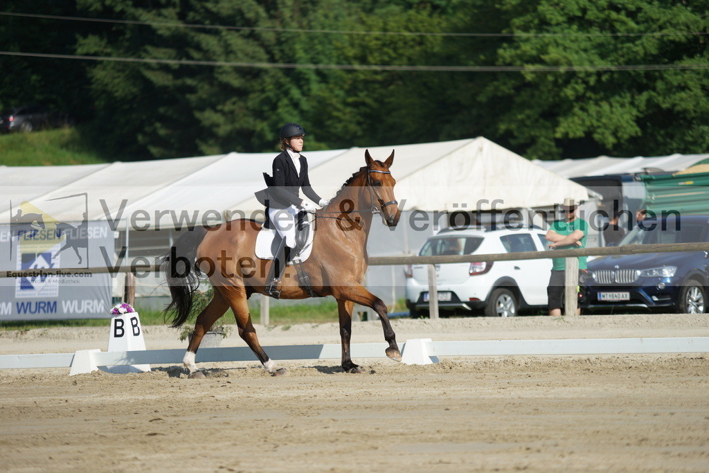DSC04069 | equestrian-live-com