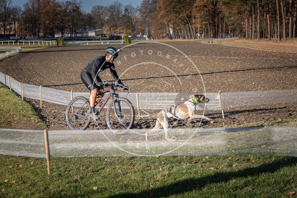CaniXpix_DV3A2847 | Hundefotografie, Tierfotograf, Pfotenfotografie, Fotoshooting Hund, Hunde Portrait, Hundesport, Hundeportraits, Heideshooting, Hunde, Sportfotograf, Hundefotograf, Turnierhundsport, THS,  - Realisiert mit Pictrs.com