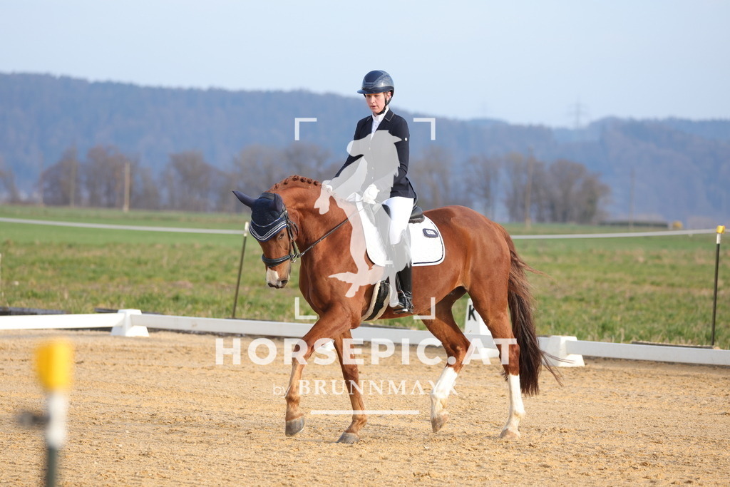 0P6A5930 | Willkommen bei Brunnmayr - Design & Fotografie – Ihrem Spezialisten für Reitturniere und Pferdeveranstaltungen in Oberösterreich, Salzburg und Bayern! Seit über 17 Jahren sind wir leidenschaftlich dabei.