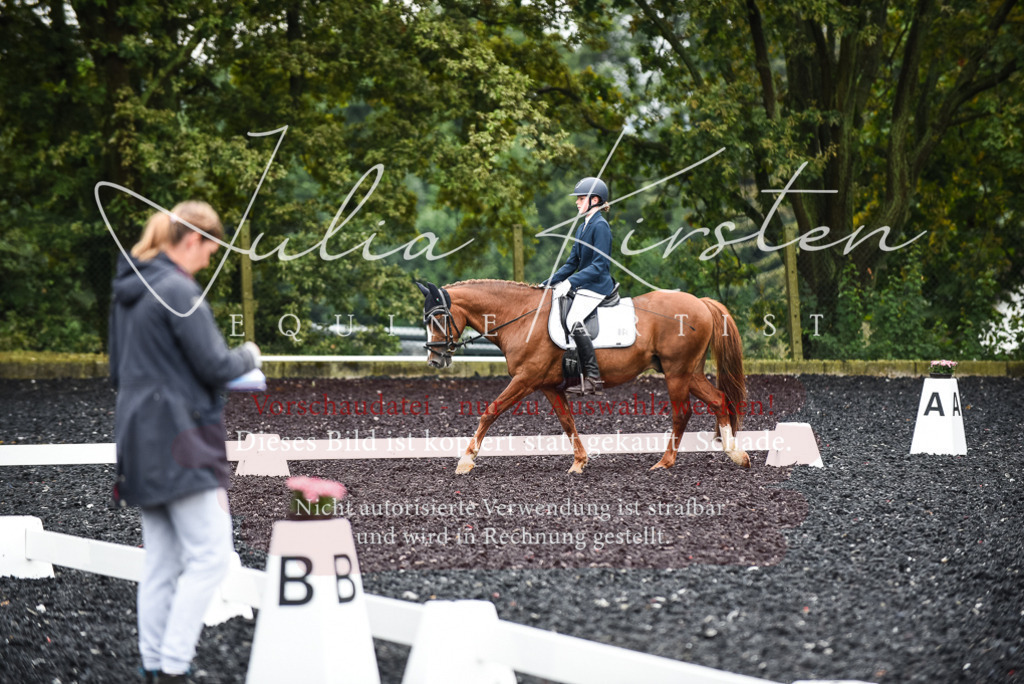 DSC_2832 | Pferde- und Turnierfotografie in Westsachsen. Pferdeportraits, Auftragszeichnungen und intuitive Kunst.
