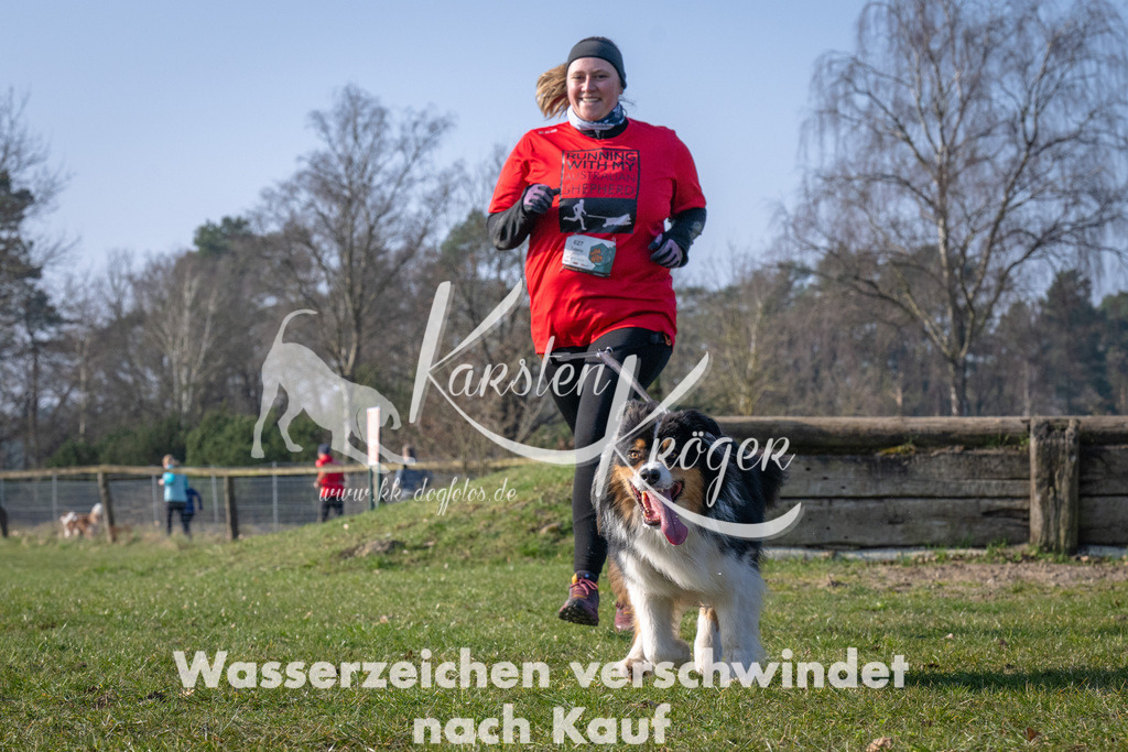 _ZZ92085 | kk-dogfotos