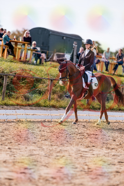 2026_10_03_Siefer-Hof_133124_Z81_85230664 | Professionelle Reitsport-, Turnier- und Eventfotografie von Robert Broda. Galerien mit ausgewählten und bearbeiteten Bildern direkt online ansehen und bestellen.