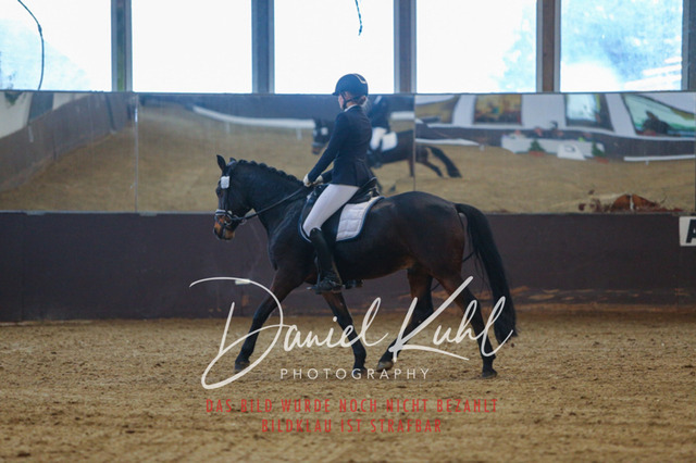 IMG_7541 | Turniersportfotografie; Pferdefotografie; Dressurfotografie