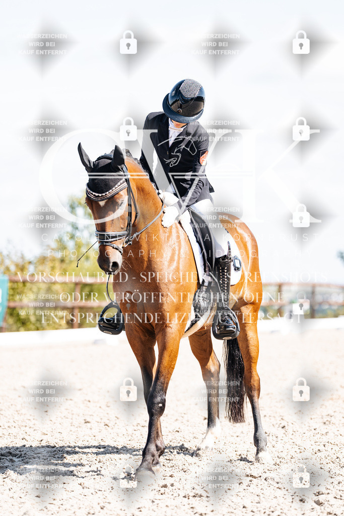 CK902742 | Turnierfotografie Pferdefotografie Trier Rheinland-Pfalz Pferdesport Reitsport Tierfotografie Sportfotografie Pferdevideo Pferdevideografie Equestrianvideography equestrianphotography  - Realisiert mit Pictrs.com