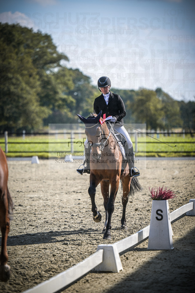 DOS_0139 | Entdecke hochwertige Reitturnierfotos von Foto Oger. Professionell, emotional und authentisch – jetzt Lieblingsmomente im Shop bestellen.Deutschlandweite Turnierfotografie. - Realisiert mit Pictrs.com
