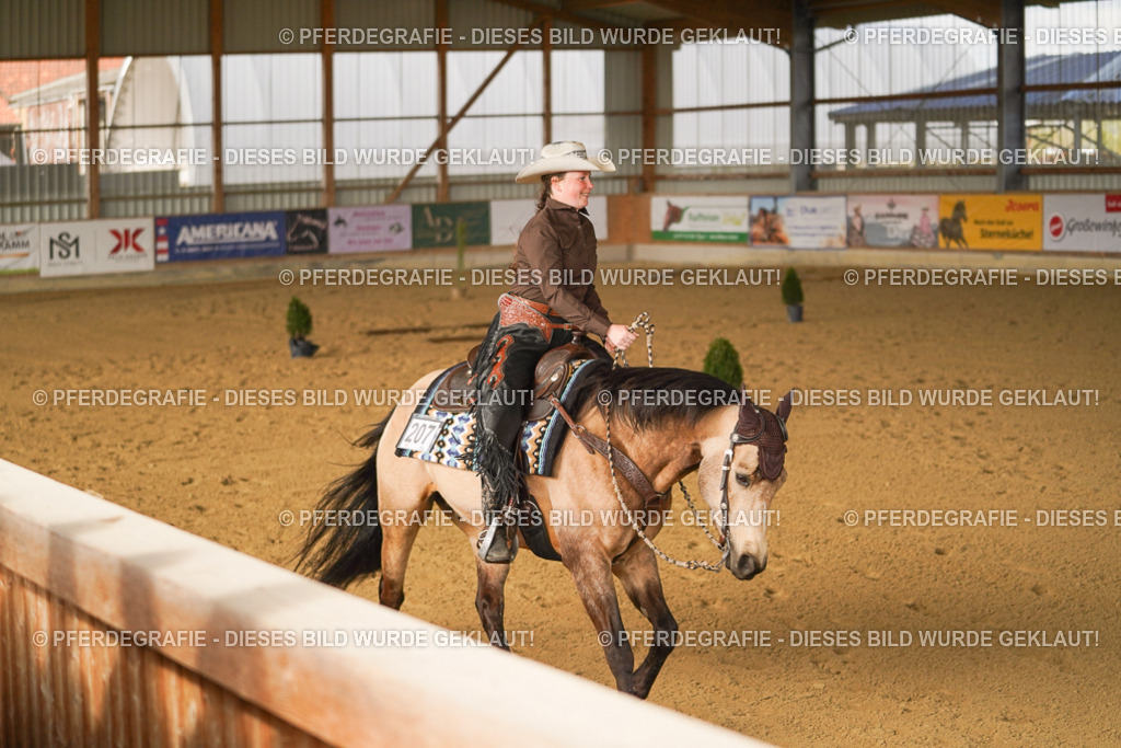 DSC01791 | Pferdegrafie