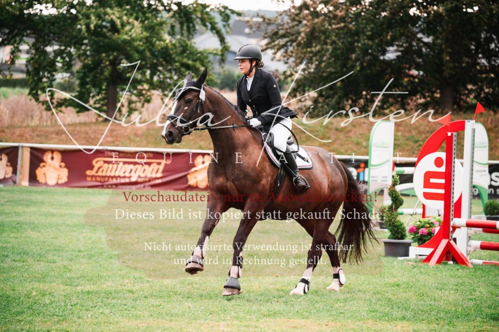 DSC_5829 | Pferde- und Turnierfotografie in Westsachsen. Pferdeportraits, Auftragszeichnungen und intuitive Kunst.