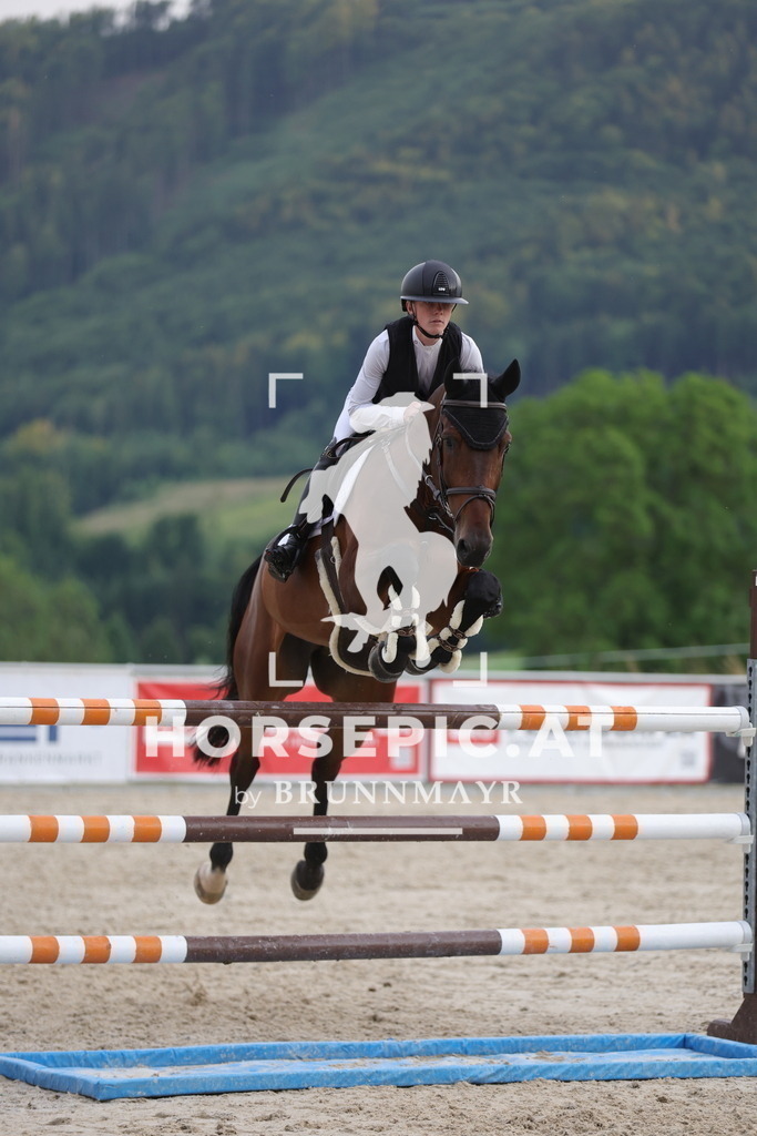 0P6A2153 | Willkommen bei Brunnmayr - Design & Fotografie – Ihrem Spezialisten für Reitturniere und Pferdeveranstaltungen in Oberösterreich, Salzburg und Bayern! Seit über 17 Jahren sind wir leidenschaftlich dabei.